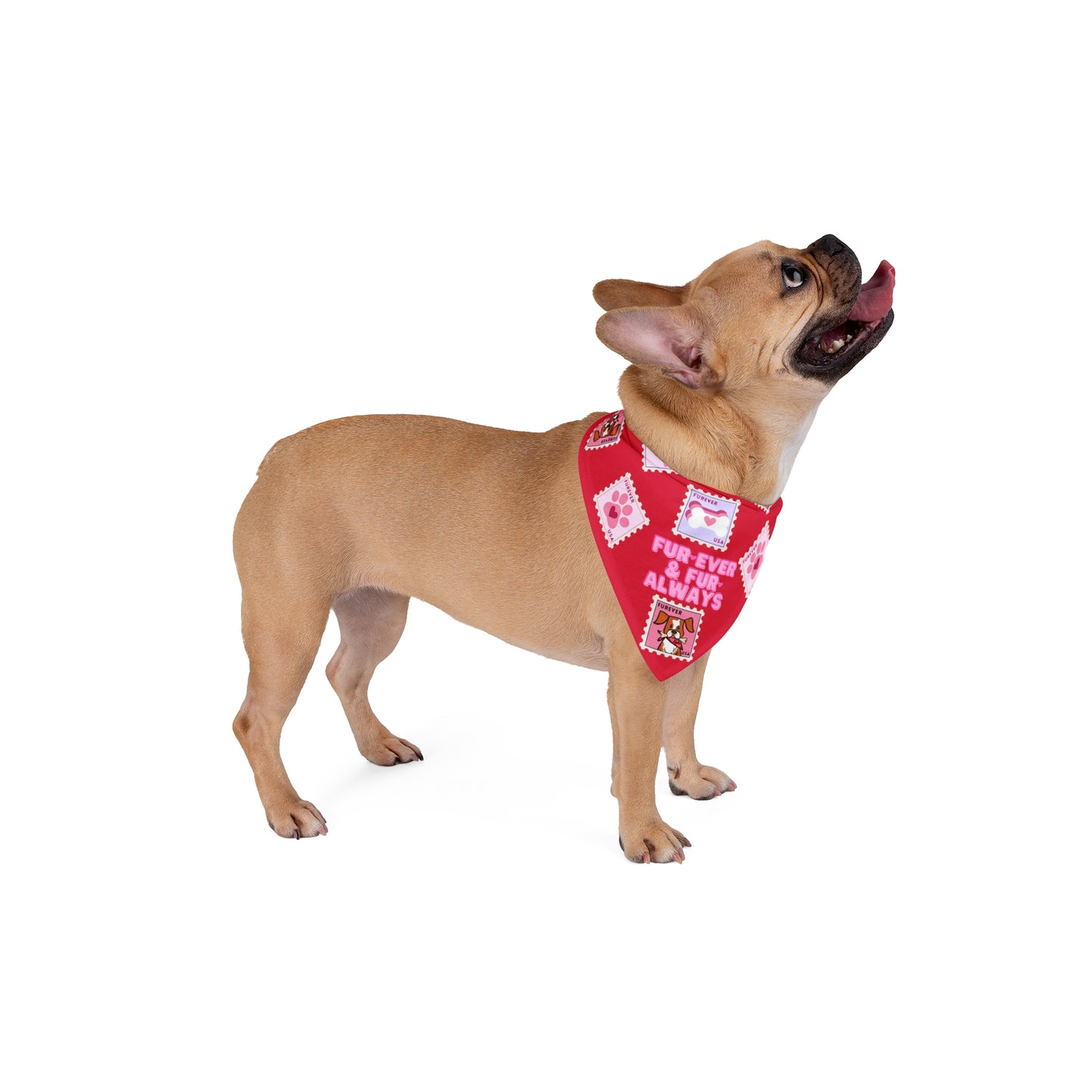 Valentine's Day Dog Bandana / Two Sizes Available / Pet Bandana / Always & Furever / Dog Valentine Stamp