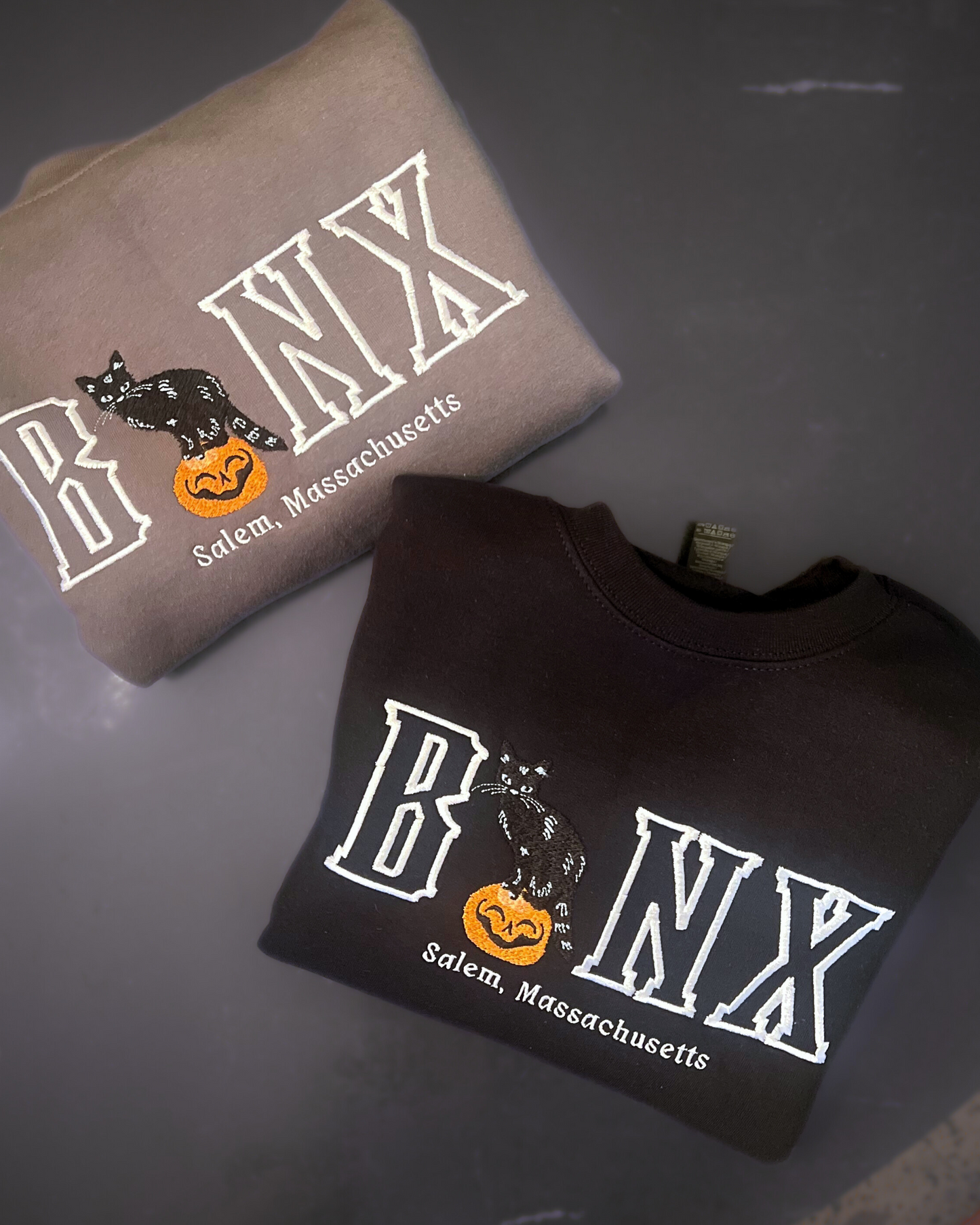 Binx Cat Hoodie / Embroidered Halloween Hoodies