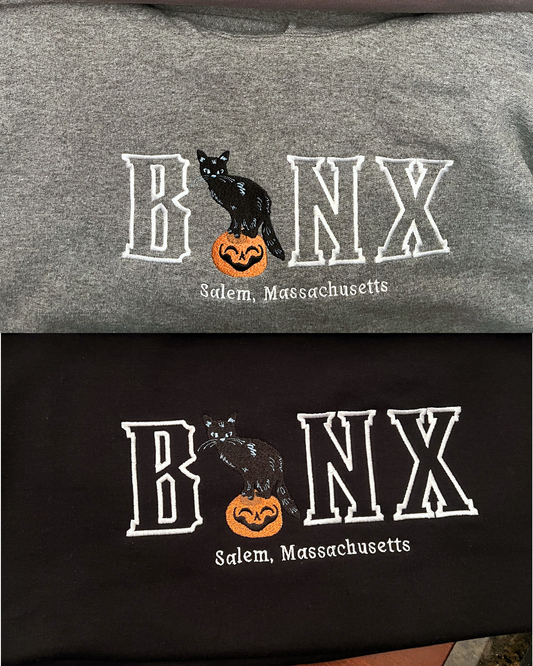 Binx Cat Hoodie / Embroidered Halloween Hoodies