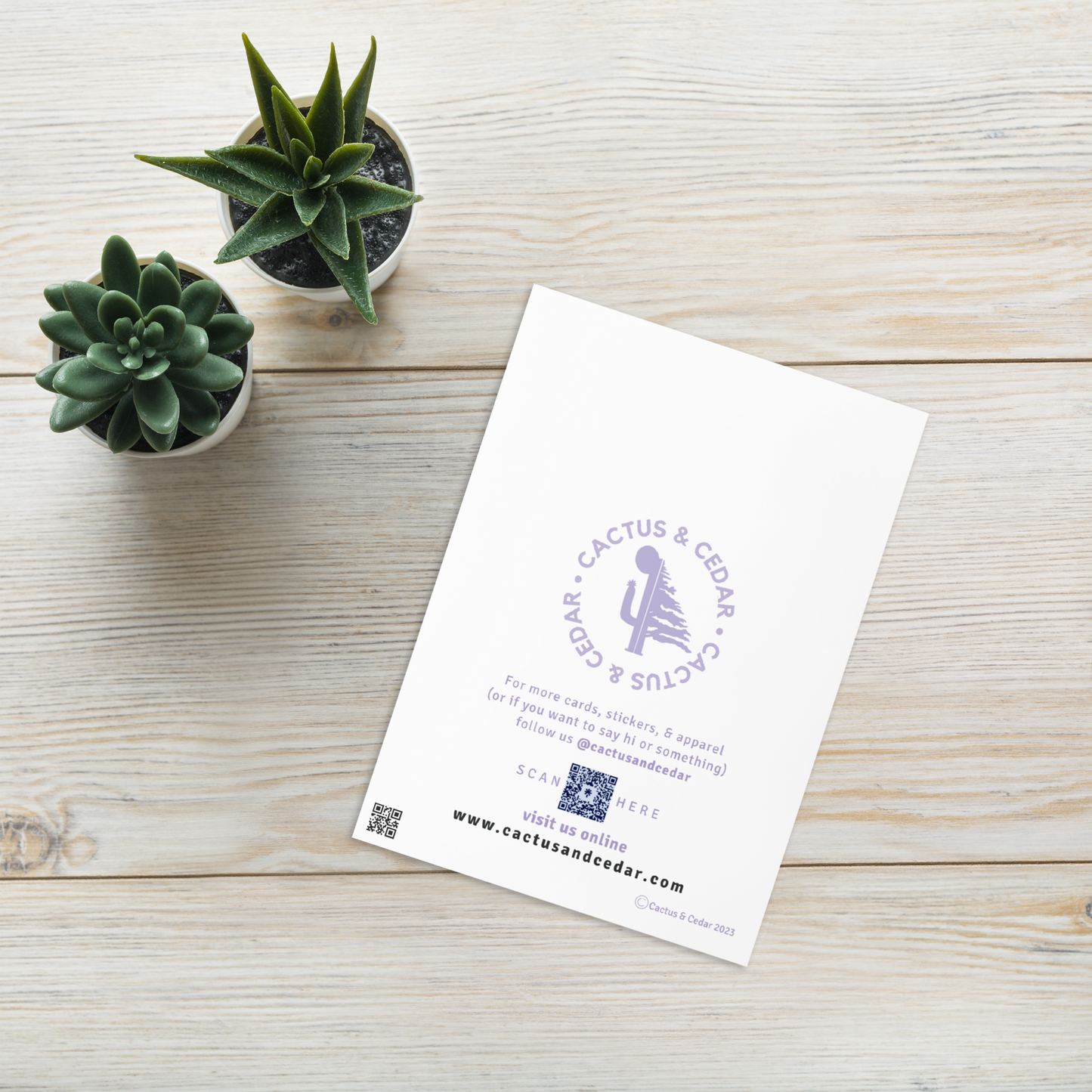 Succulent Card / Anti-Greeting Card / You Succ Card / Funny Birthday Card / Funny Plant Card / Gifts for Plant Lovers