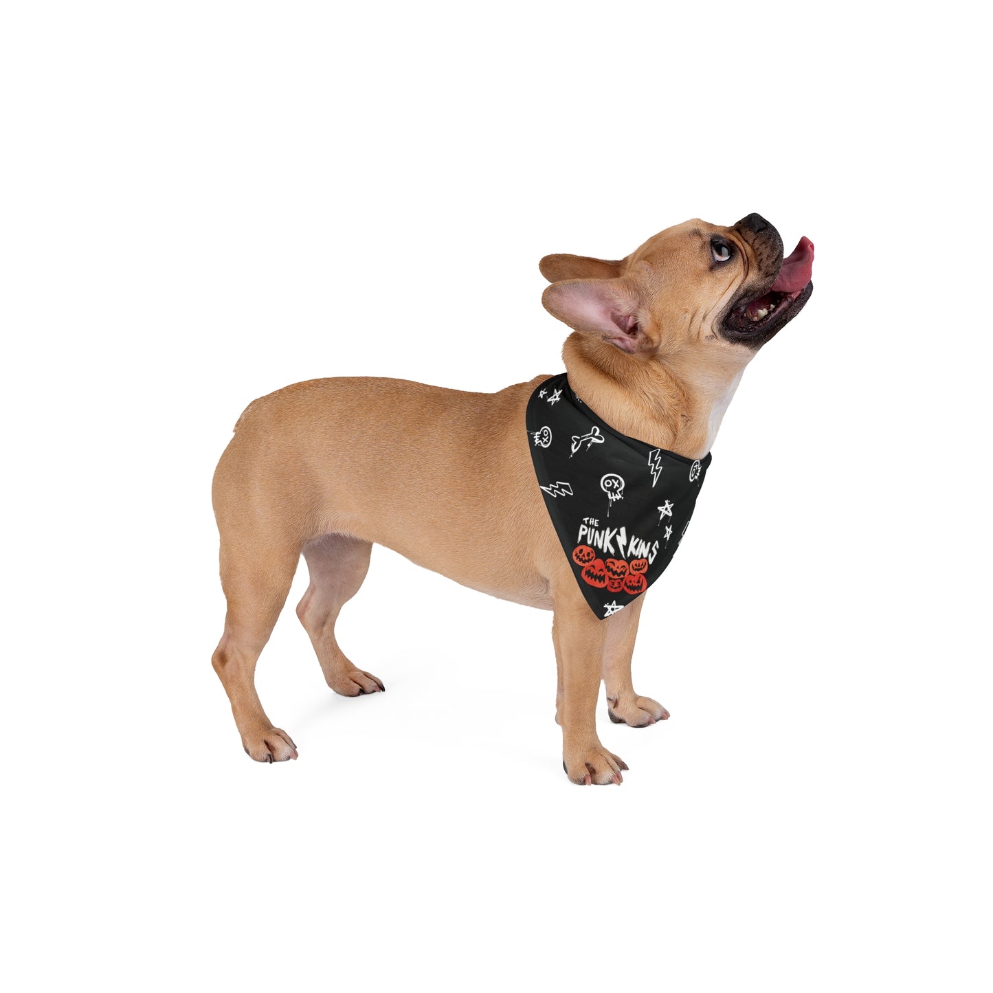 "The Punk Kins" Halloween Pet Bandana / Halloween Pet Accessories