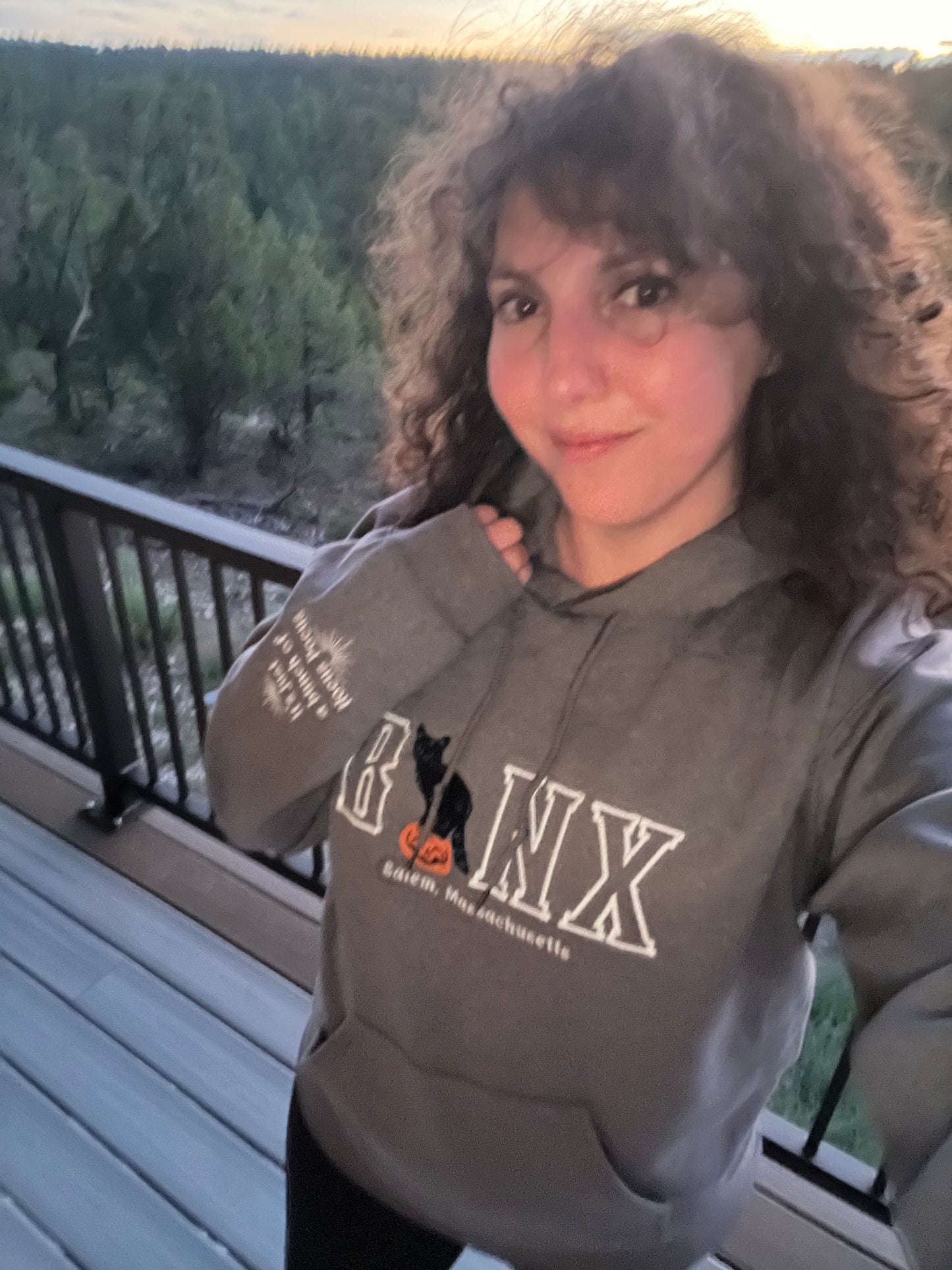 Binx Cat Hoodie / Embroidered Halloween Hoodies