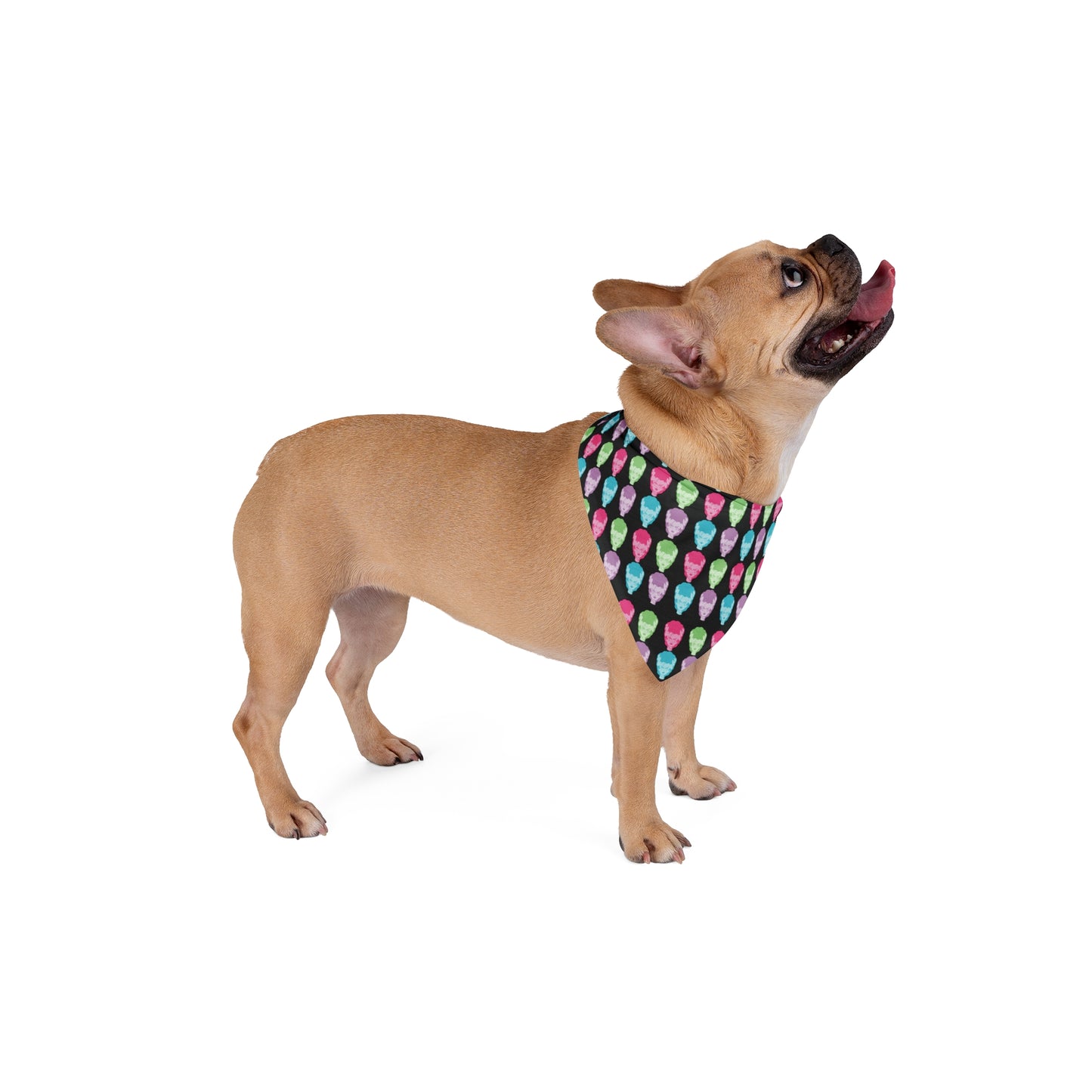 Technicolor Bride of Frankenstein Dog Bandana / Two Sizes Available / Halloween Dog Scarf