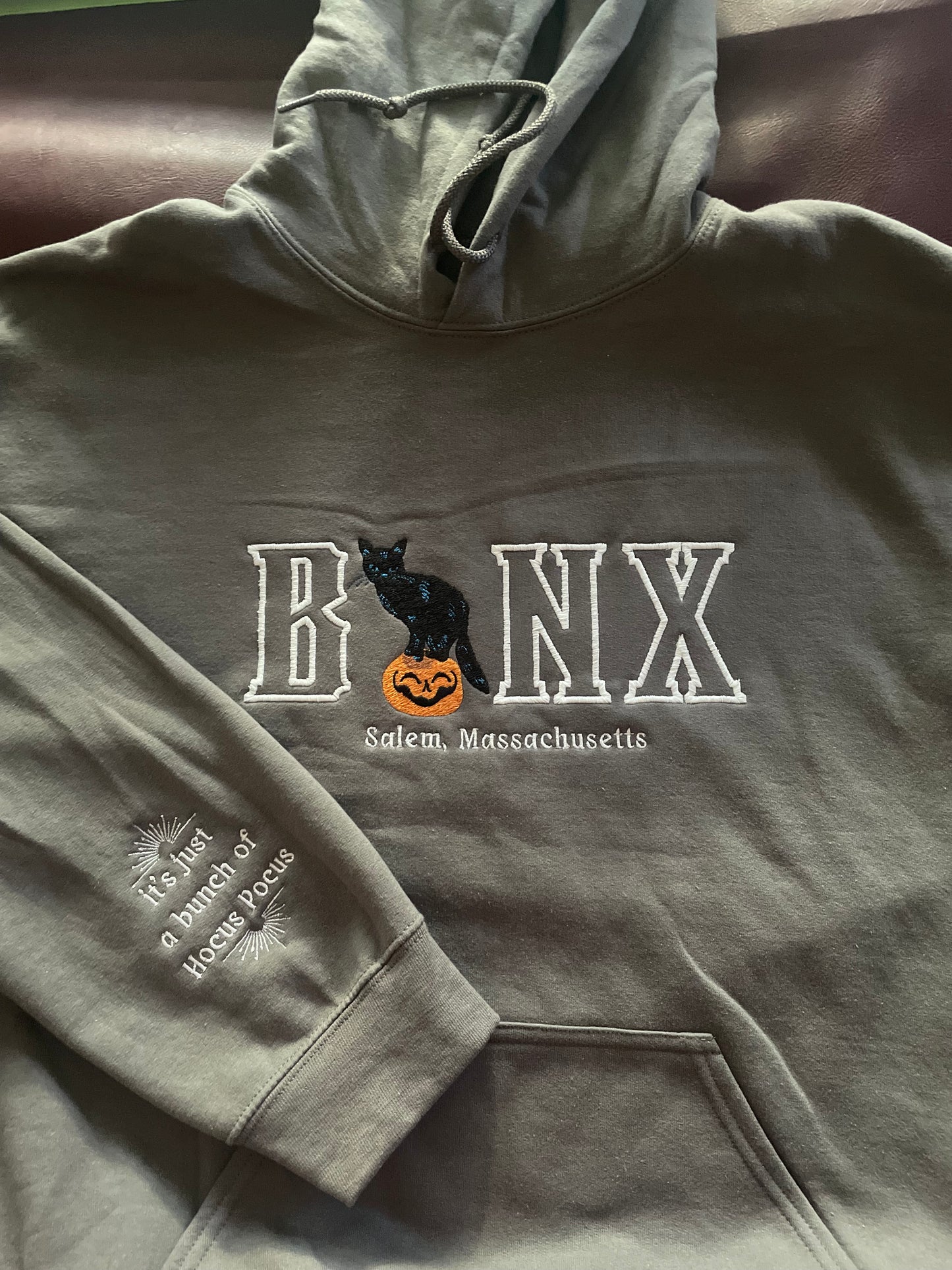 Binx Cat Hoodie / Embroidered Halloween Hoodies