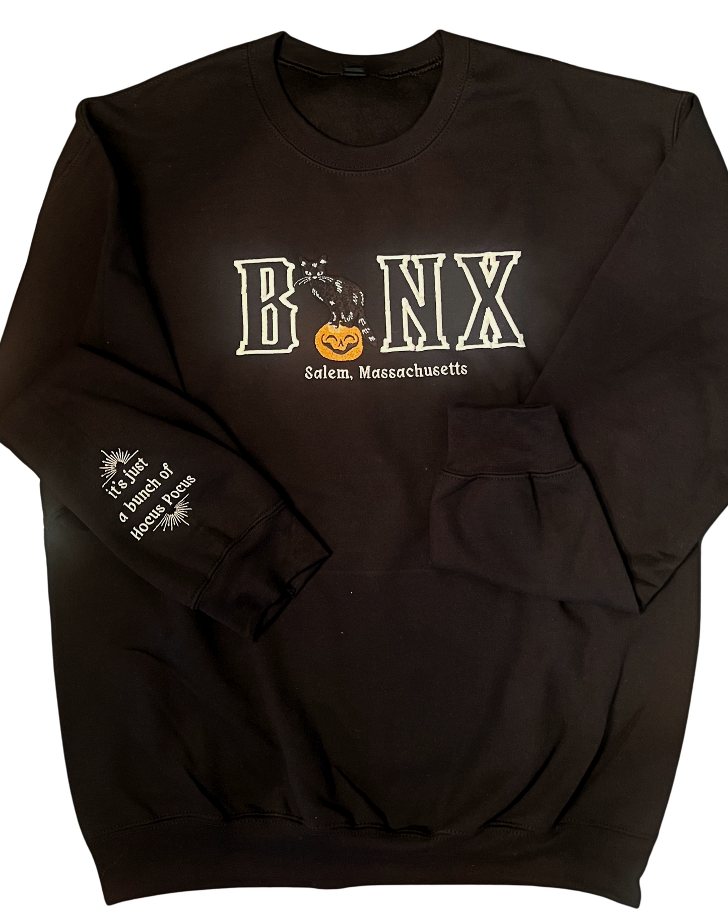 Binx Cat Crewneck Sweater / Embroidered Halloween Sweatshirts / Black Cat Crewneck