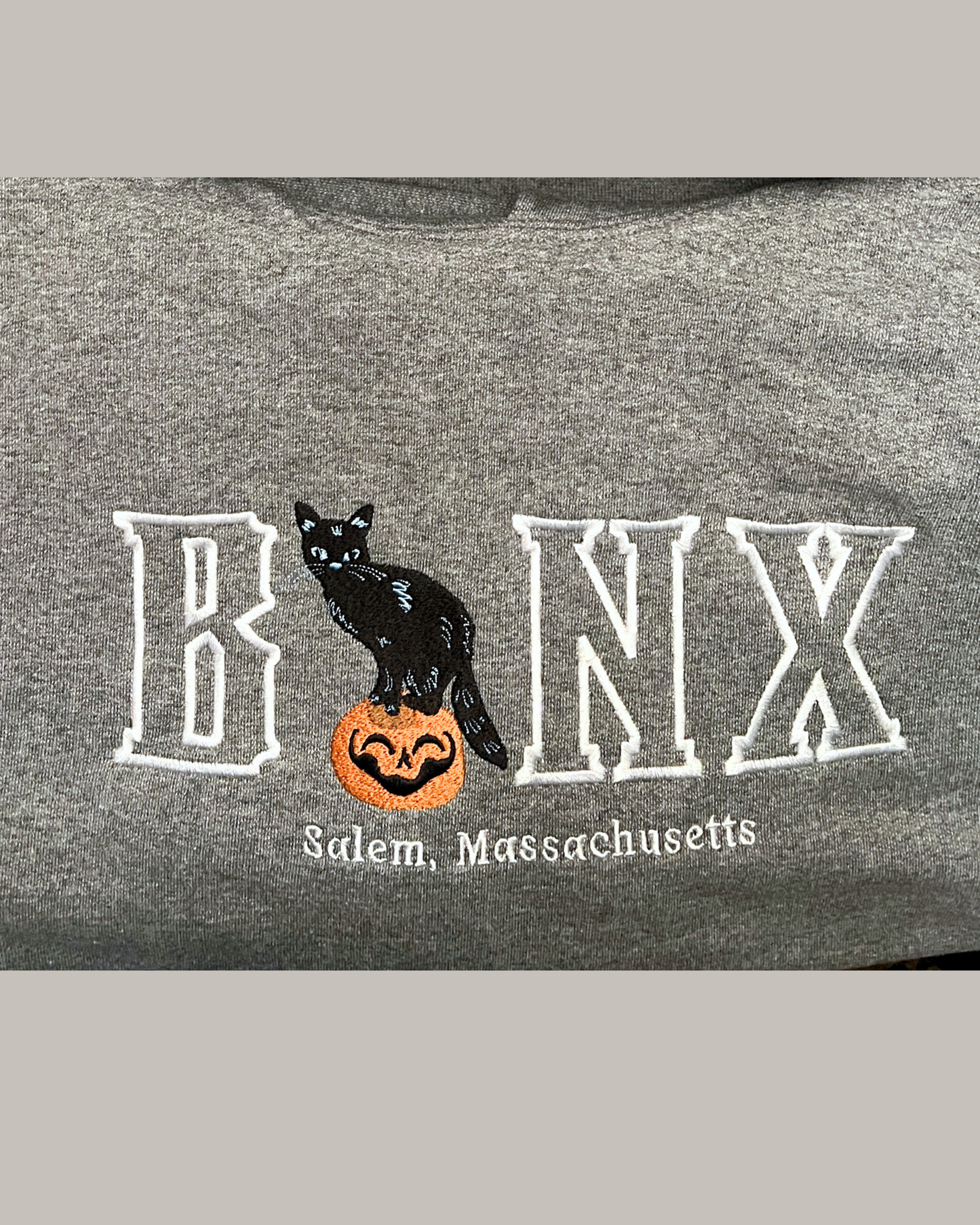 Binx Cat Hoodie / Embroidered Halloween Hoodies
