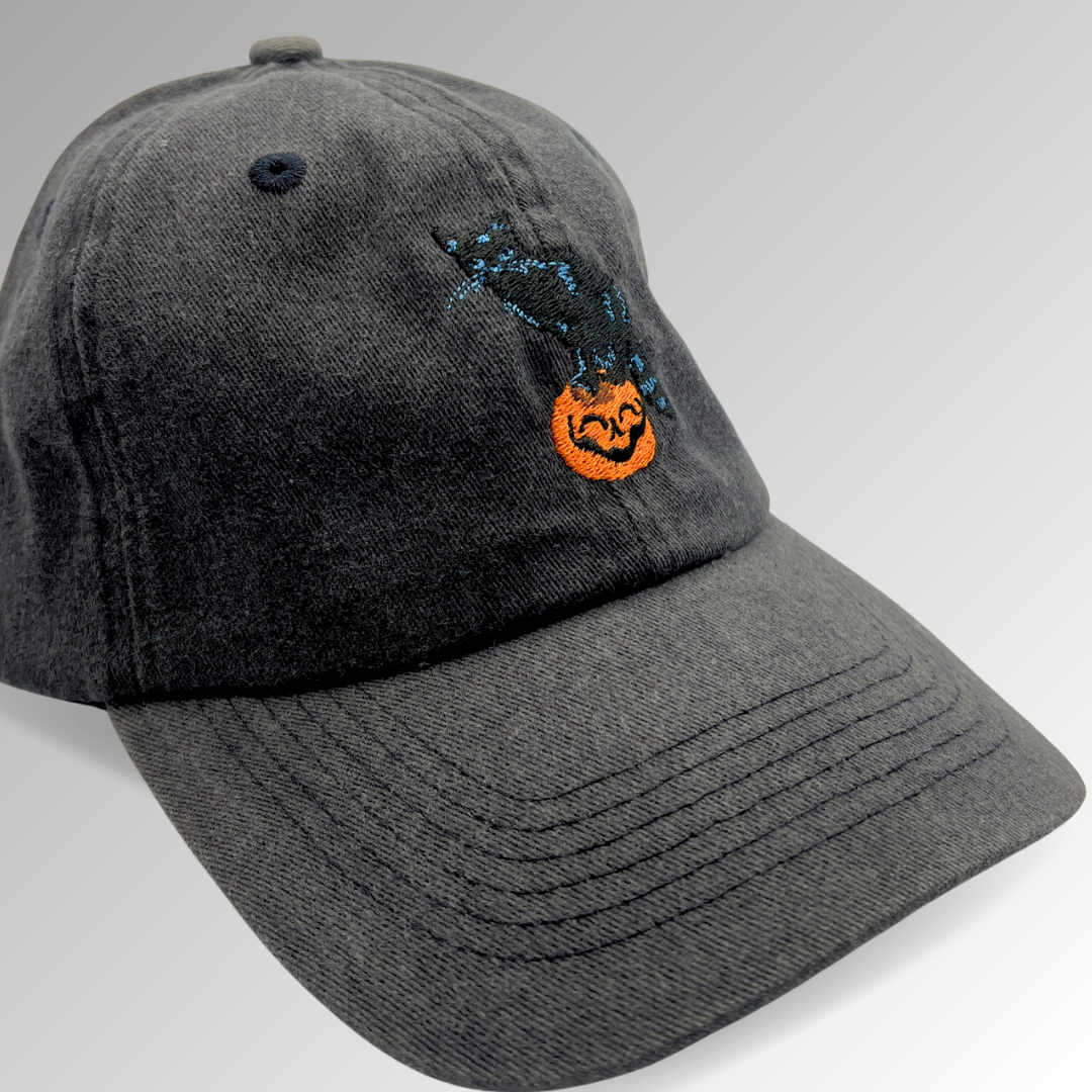 Binx Cat Embroidered Hat / Black Cat Hat / Halloween Hats