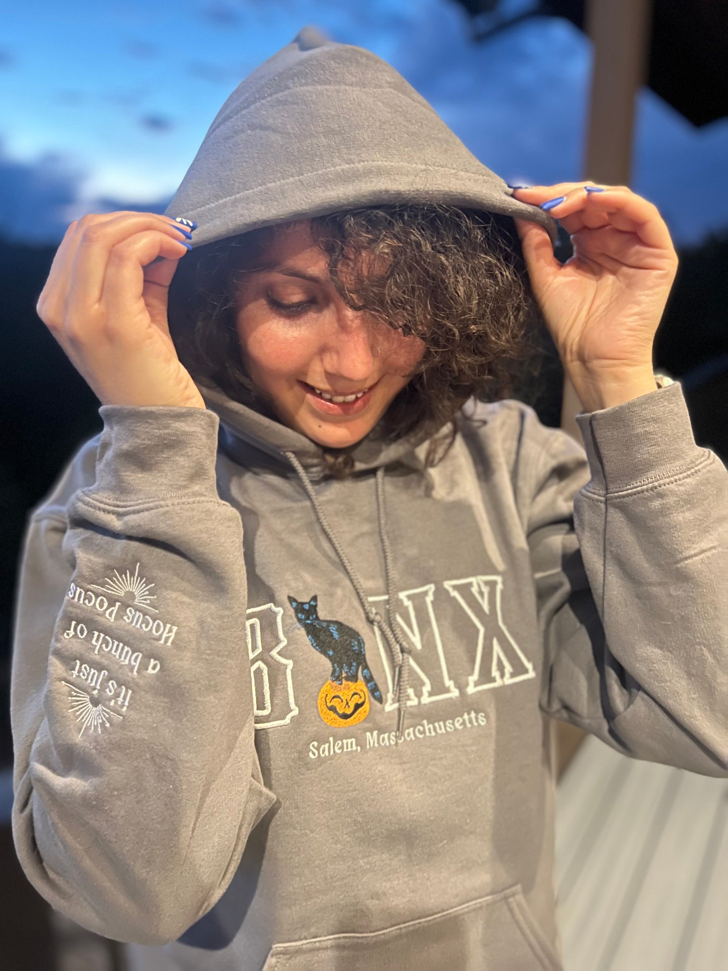 Binx Cat Hoodie / Embroidered Halloween Hoodies