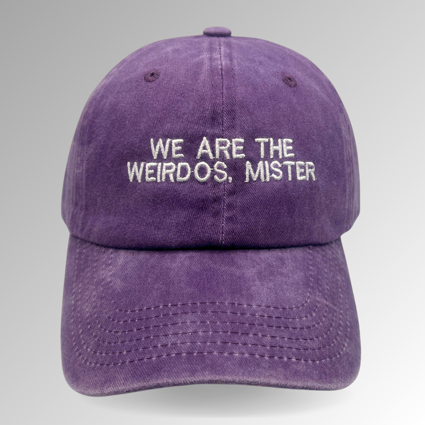"We Are the Weirdos, Mister" Hat / Horror Embroidered Hat / The Craft