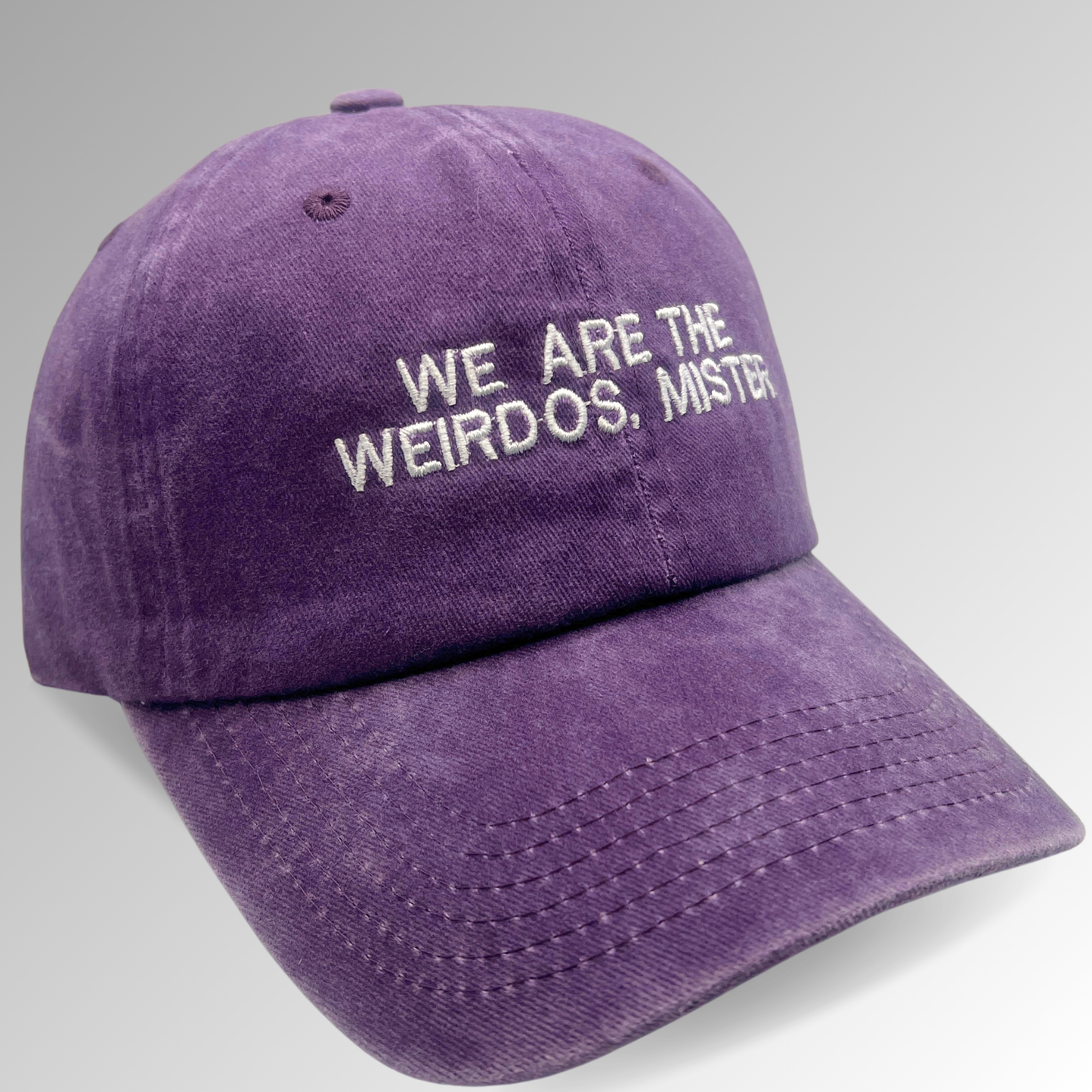 "We Are the Weirdos, Mister" Hat / Horror Embroidered Hat / The Craft