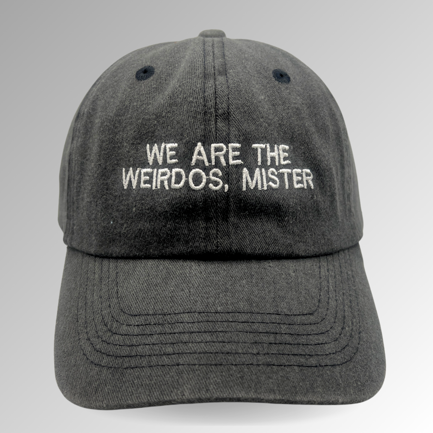 "We Are the Weirdos, Mister" Hat / Horror Embroidered Hat / The Craft
