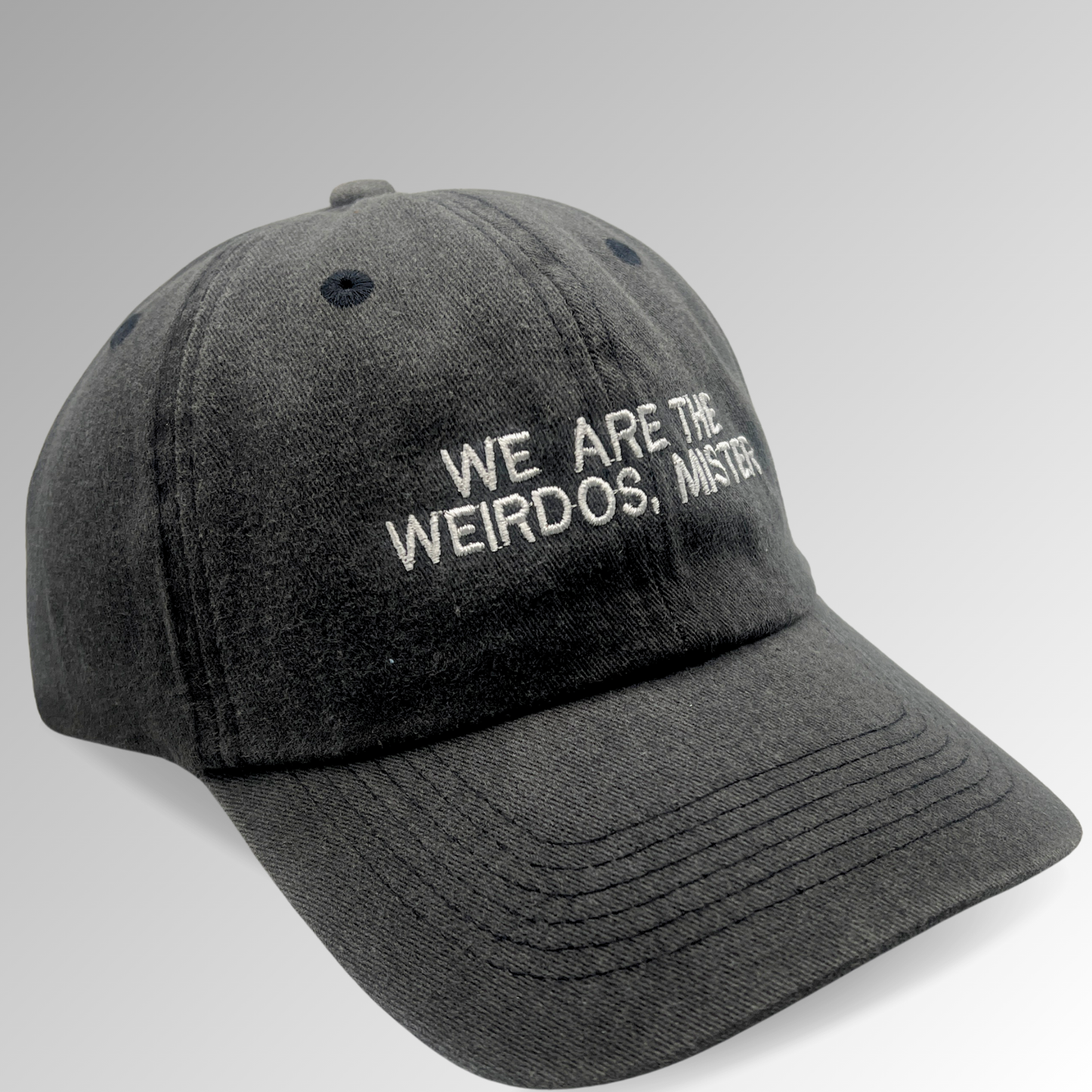 "We Are the Weirdos, Mister" Hat / Horror Embroidered Hat / The Craft