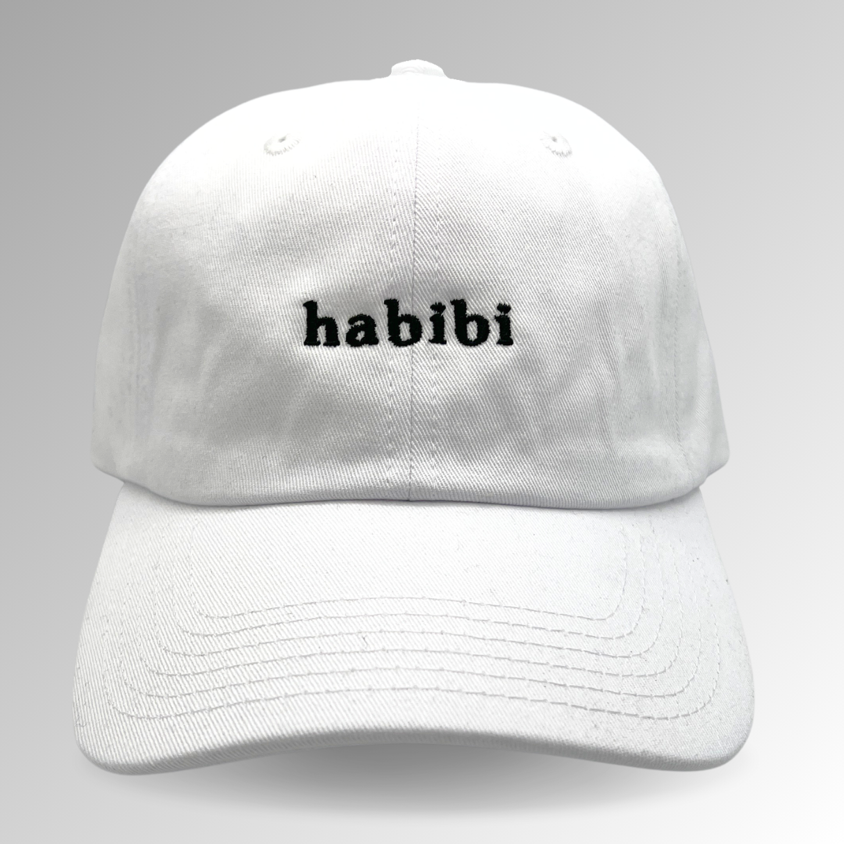 Habibi Hat / Vintage Style / Embroidered Hats / Dad Hats