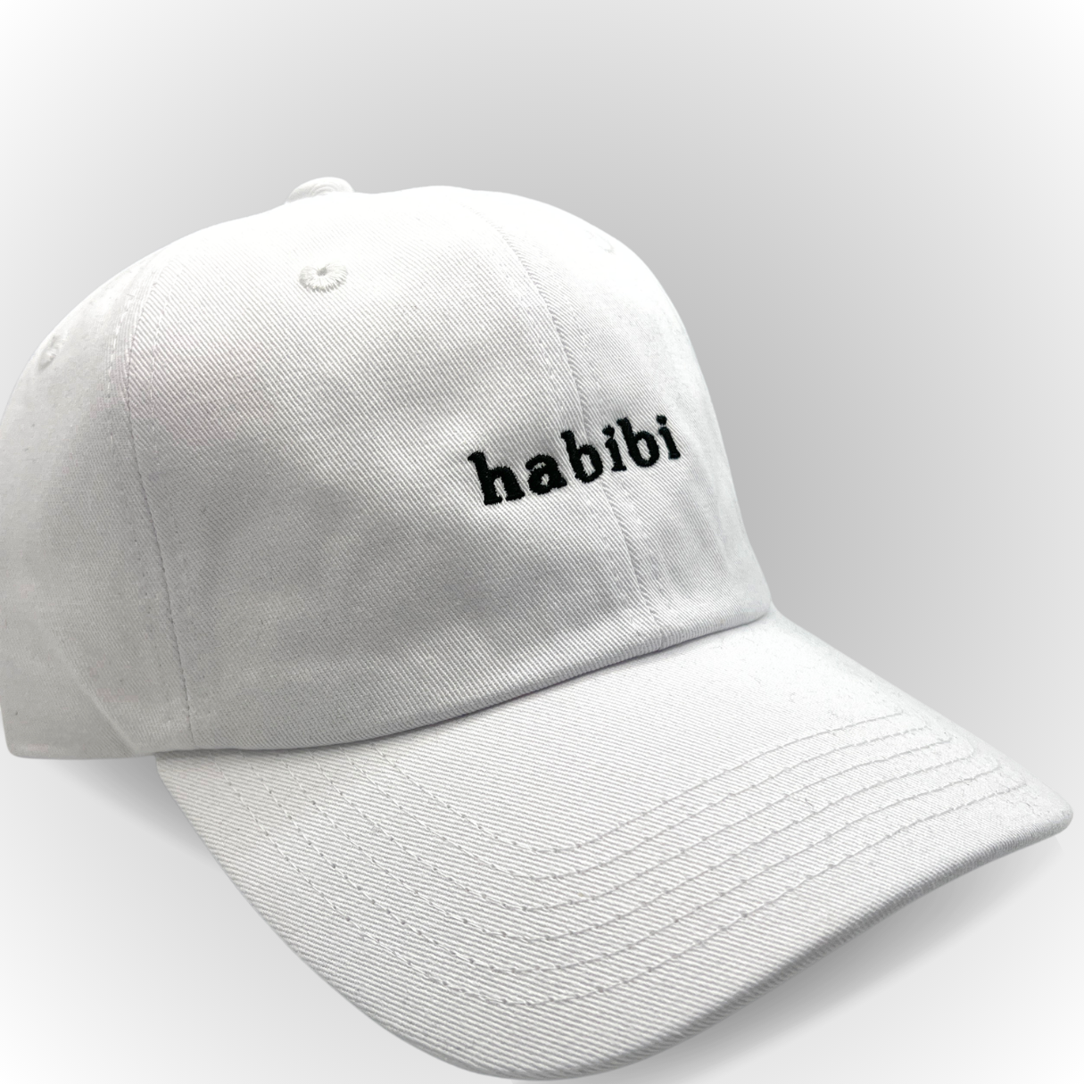 Habibi Hat / Vintage Style / Embroidered Hats / Dad Hats