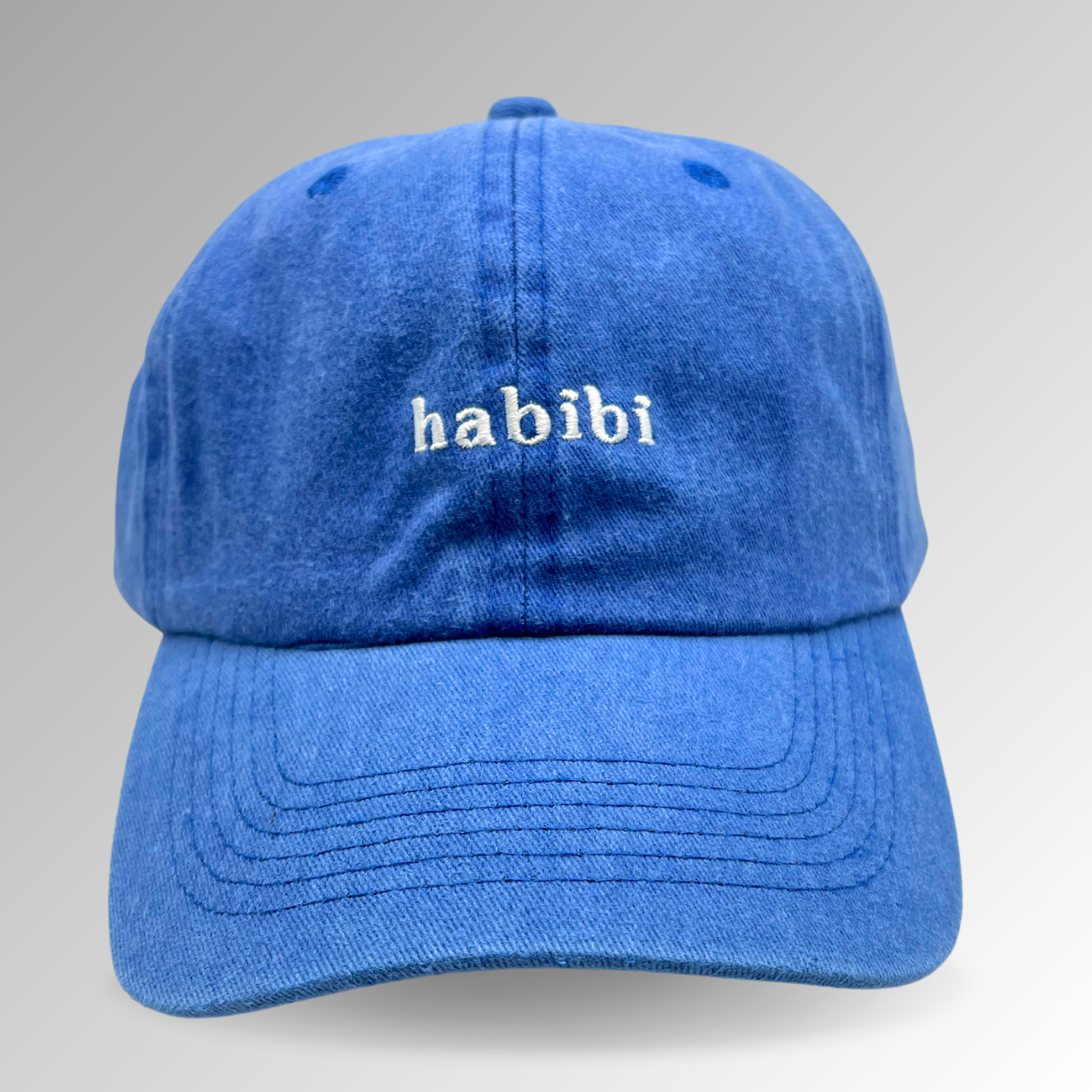 Habibi Hat / Vintage Style / Embroidered Hats / Dad Hats