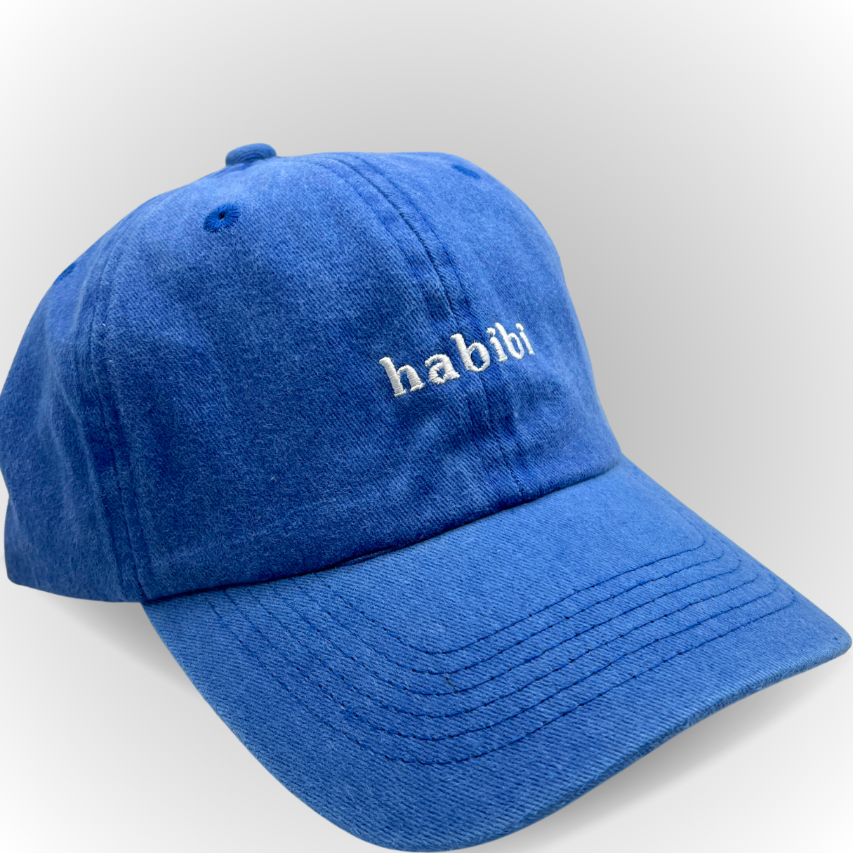Habibi Hat / Vintage Style / Embroidered Hats / Dad Hats
