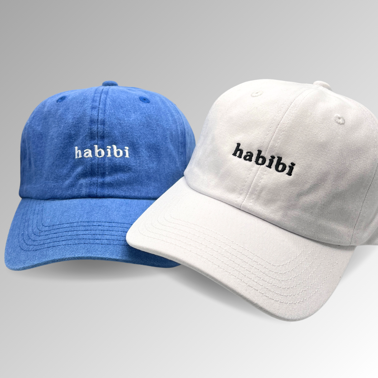 Habibi Hat / Vintage Style / Embroidered Hats / Dad Hats