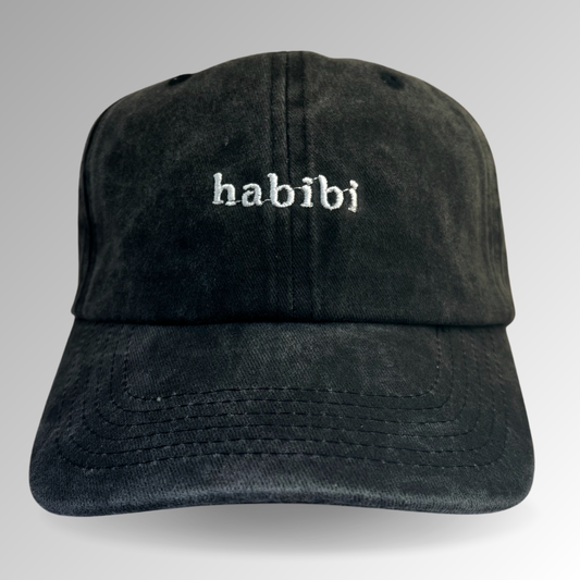 Habibi Hat / Vintage Style / Embroidered Hats / Dad Hats